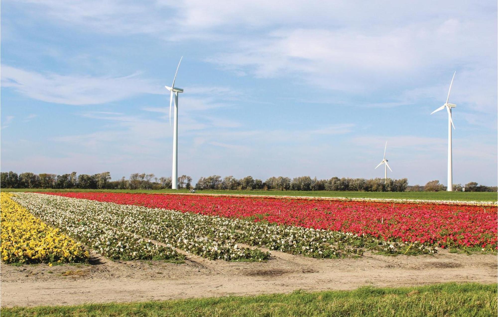 Hoeve Alegria Hoogwoud Kültér fotó